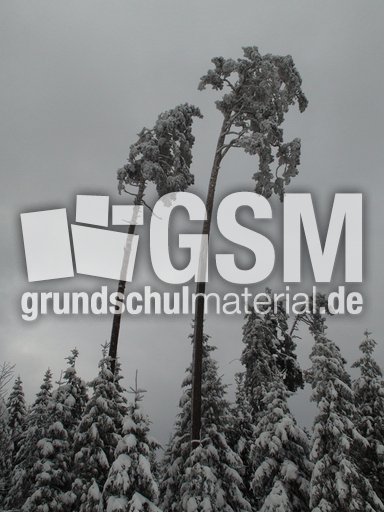 Winterlandschaft 5.jpg